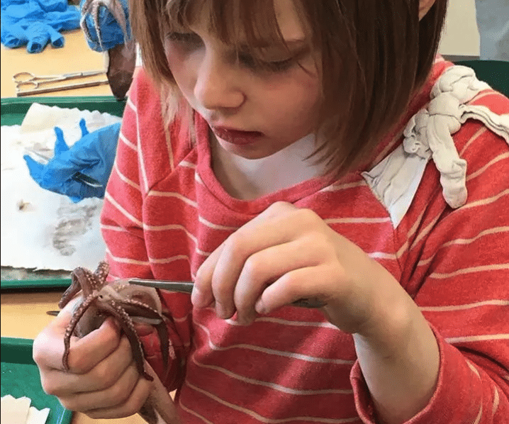 A diverse group of four professionals collaborating at a desk in a modern office.